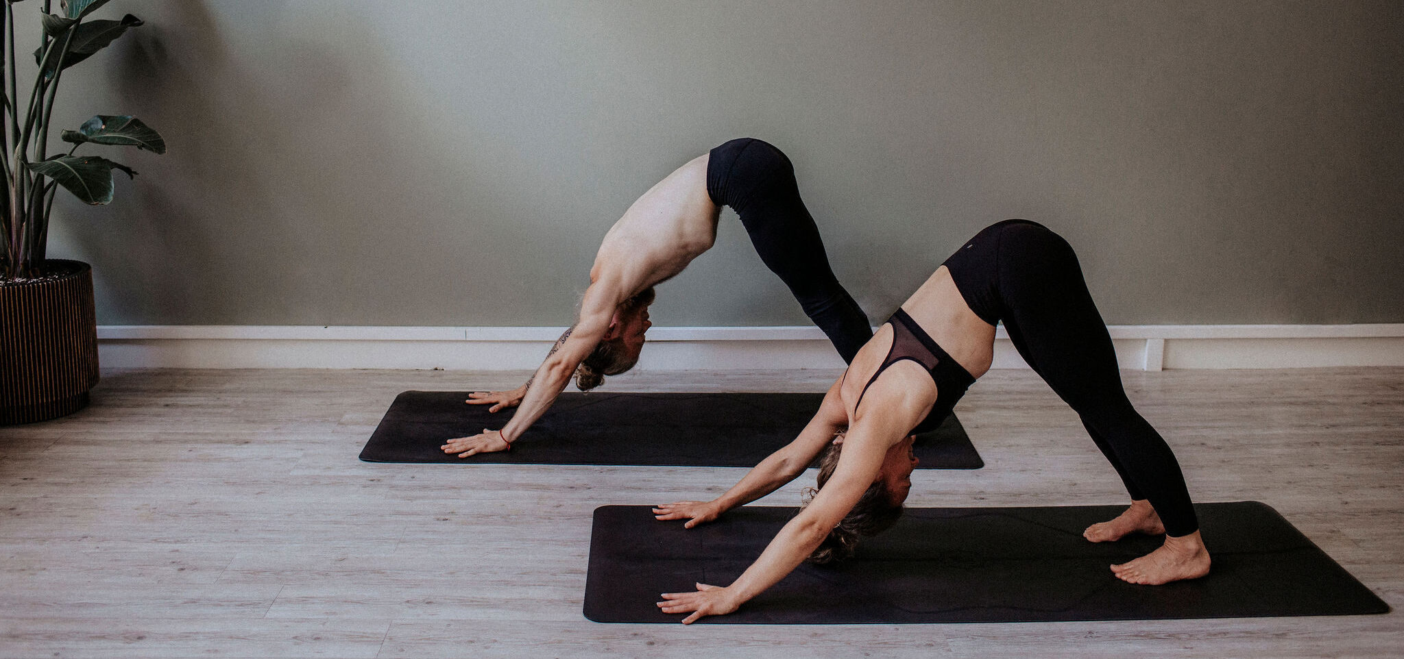 Ashtanga yoga: a practice for life - Ashtanga Yoga Leiden